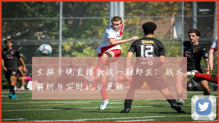 女排今晚直播激战一触即发：战术解析与实时比分更新