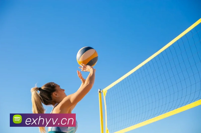 星空体育官方登录入口发展历程